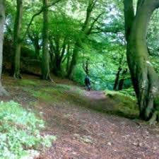 Prestwich Forest Park